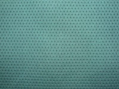 56109 Polyester Fabric