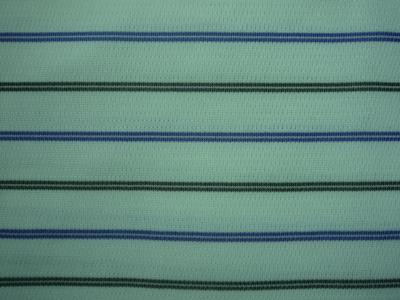 56662 Polyester Fabric